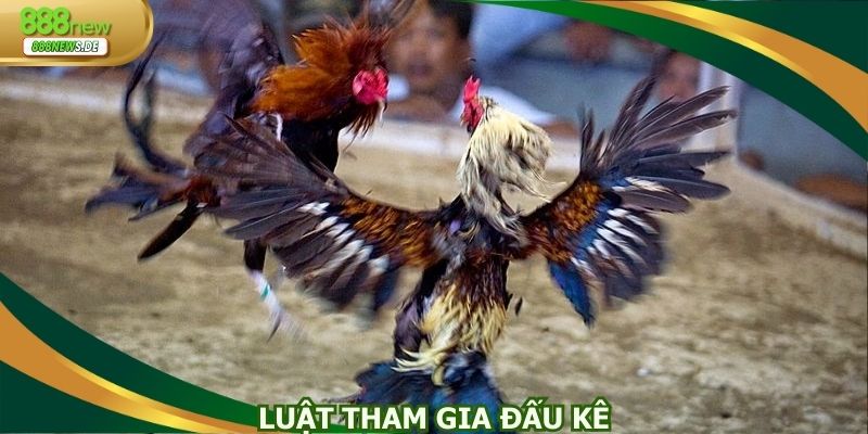 Luật tham gia đấu kê trực tuyến hội viên tuân thủ